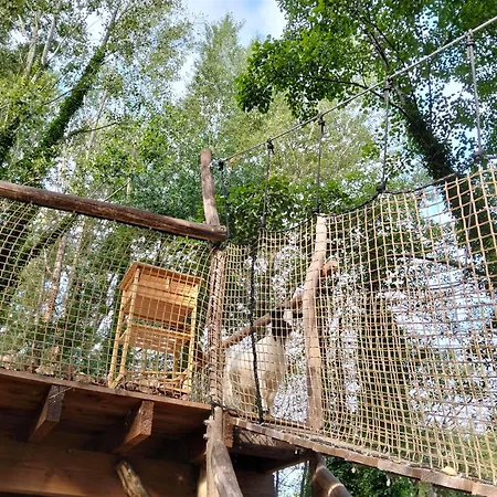 Tente Toit Transparent Bois Proche Animaux *