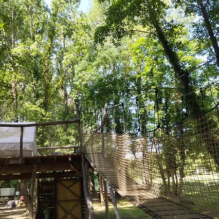 Tente Toit Transparent Bois Proche Animaux אתר קמפינג Saint-Paulet-de-Caisson